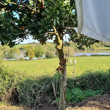 Hébergement de vacances Tiny House - La Maisonette Port-Saint-Père